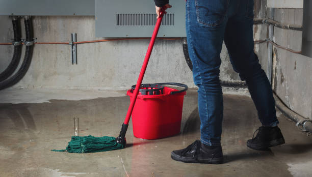 Best Flood damage cleanup  in Belle Rose, LA