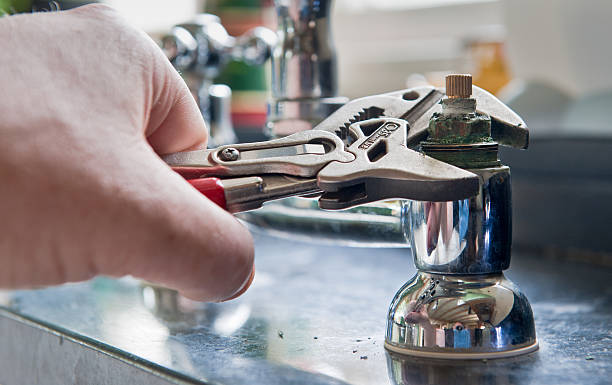 Best Ceiling water damage repair  in Belle Rose, LA
