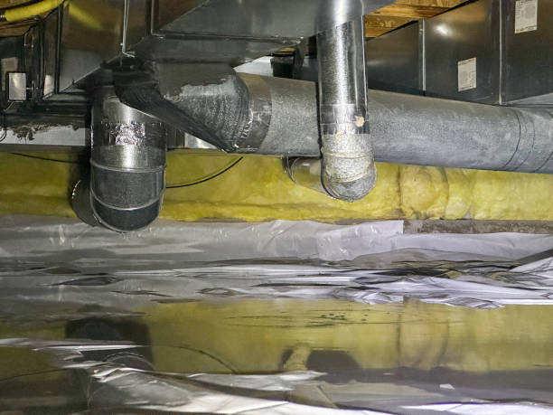 Best Fire Damage Restoration  in Belle Rose, LA