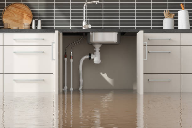 Best Water damage restoration near me  in Belle Rose, LA