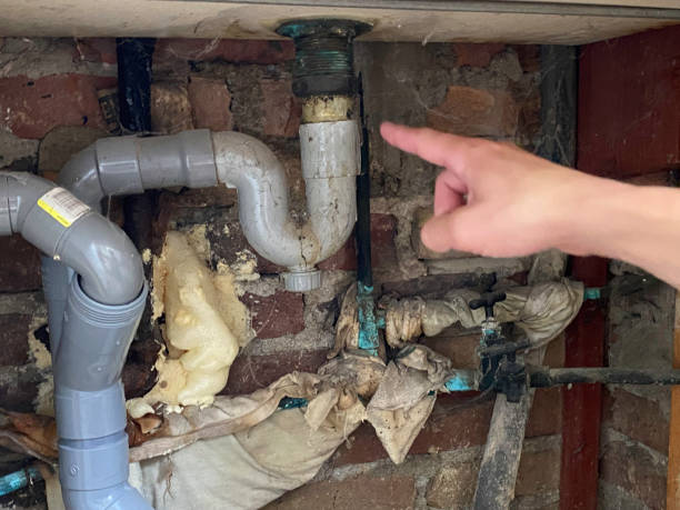 Best Professional water damage repair  in Belle Rose, LA