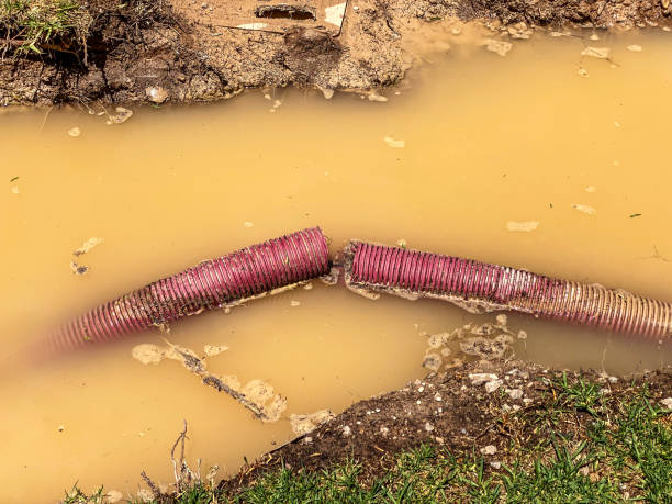 Best Residential water damage restoration  in Belle Rose, LA