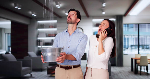 Best Flood restoration services  in Belle Rose, LA